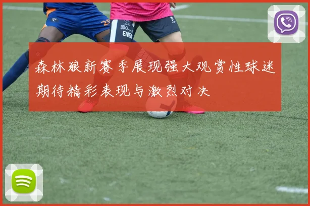 森林狼新赛季展现强大观赏性球迷期待精彩表现与激烈对决