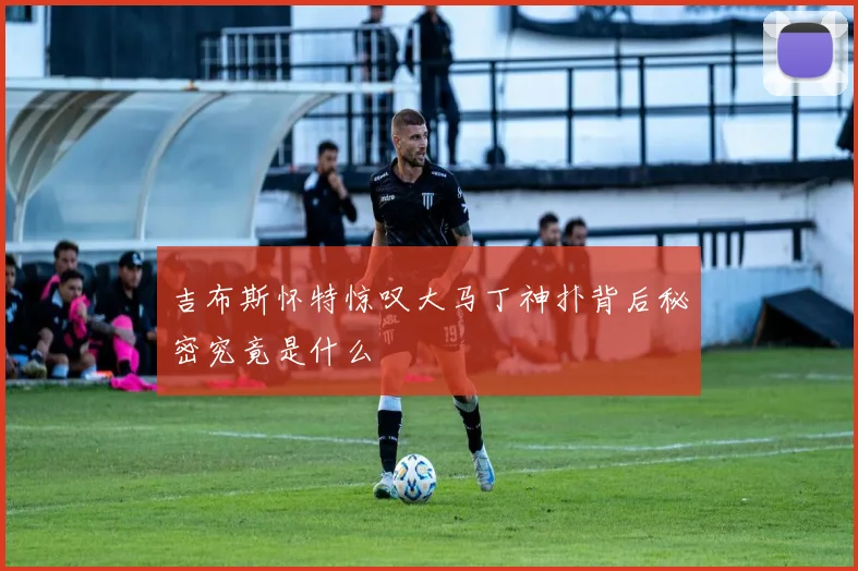 吉布斯怀特惊叹大马丁神扑背后秘密究竟是什么